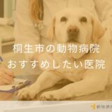 桐生市の動物病院 おすすめしたい医院