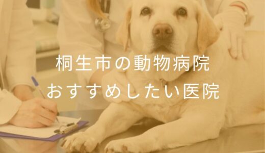 【2025年】桐生市の動物病院 おすすめしたい6医院