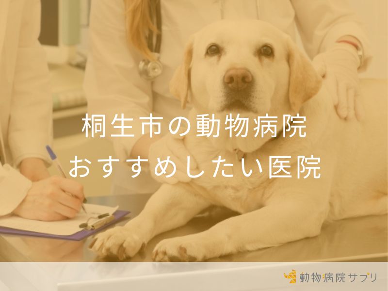 桐生市の動物病院 おすすめしたい医院