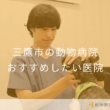 【2025年】三鷹市の動物病院 おすすめしたい6医院