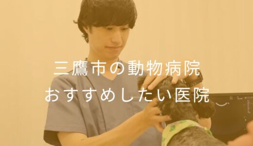 【2025年】三鷹市の動物病院 おすすめしたい7医院