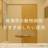 【2025年】焼津市の動物病院 おすすめしたい5医院