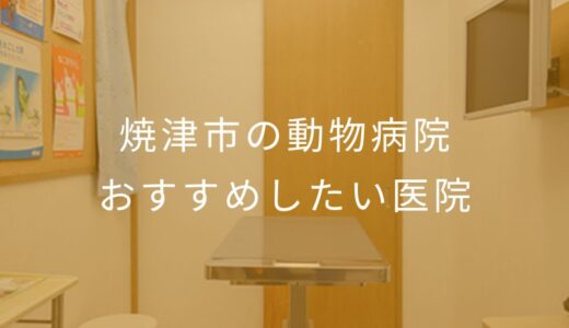 【2025年】焼津市の動物病院 おすすめしたい5医院