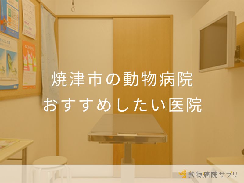 焼津市の動物病院 おすすめしたい医院
