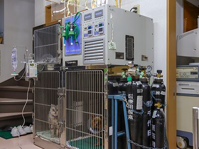 大庭動物病院 焼津病院