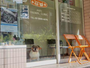 パティ動物病院