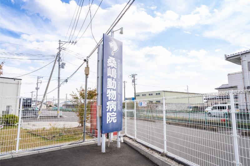 桑嶋動物病院