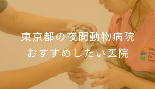 【2025年】東京都の夜間動物病院 おすすめしたい6医院