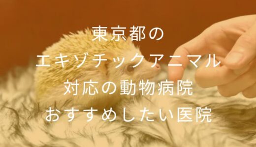 【2025年】東京都のエキゾチックアニマル対応の動物病院 おすすめしたい5医院