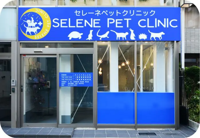 セレーネペットクリニック
