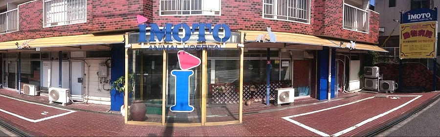 たまプラーザどうぶつクリニックphoto