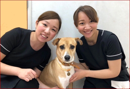 たまプラーザどうぶつクリニックphoto