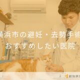 【2025年】横浜市の避妊・去勢手術  おすすめしたい7医院