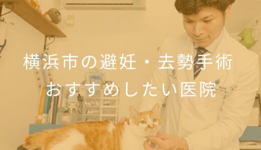 【2025年】横浜市の避妊・去勢手術  おすすめしたい7医院