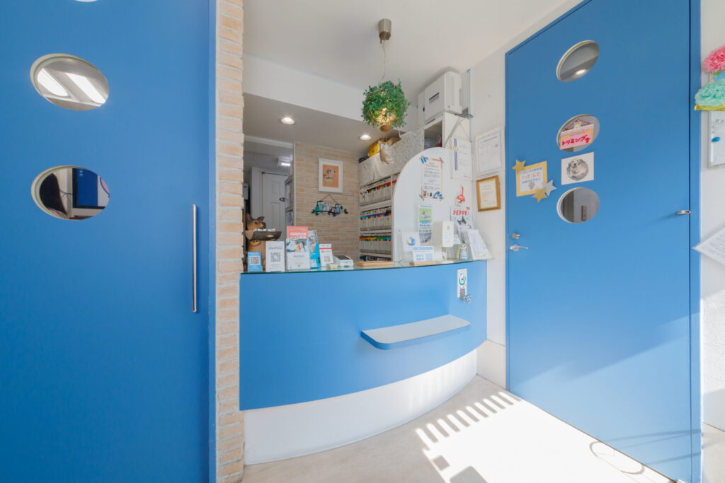 横浜りゅう動物病院