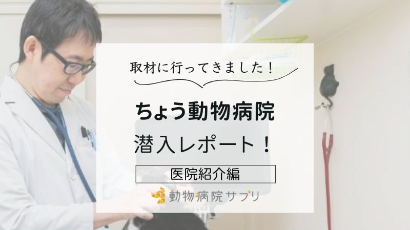 ちょう動物病院photo