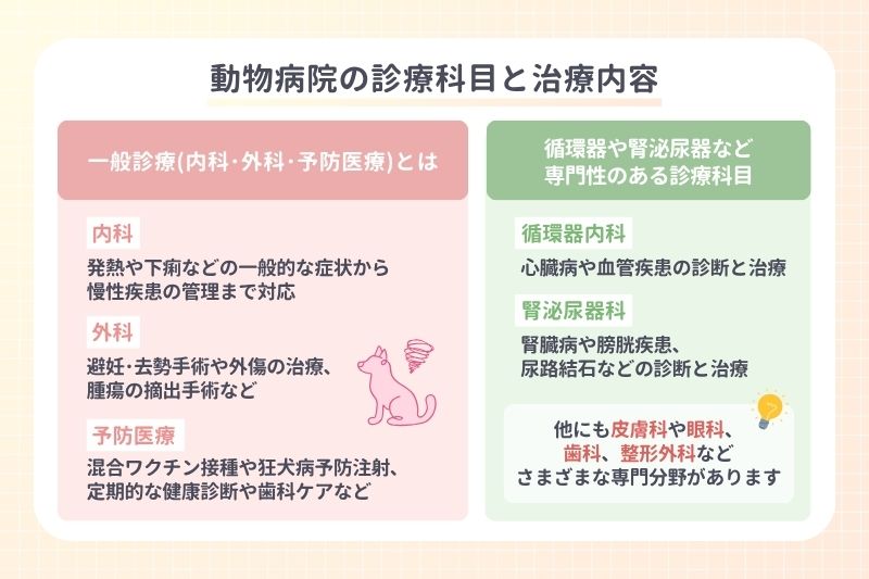 動物病院の診療科目と治療内容
