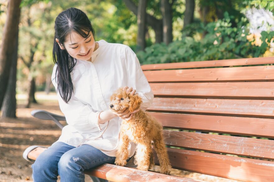 公園で犬と遊ぶ女性