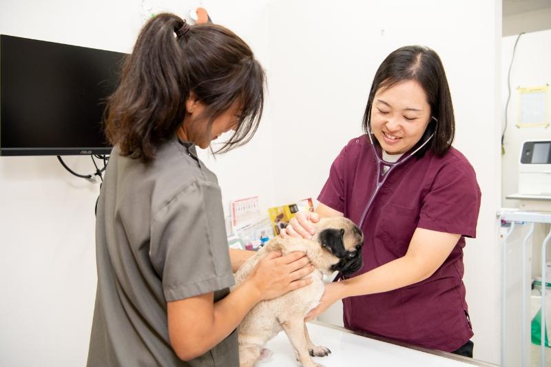 みたかマロン動物病院