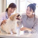 動物病院で予防接種を受けるべき時期は？犬・猫に必要なワクチンの種類や料金も解説