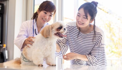 動物病院で予防接種を受けるべき時期は？犬・猫に必要なワクチンの種類や料金も解説