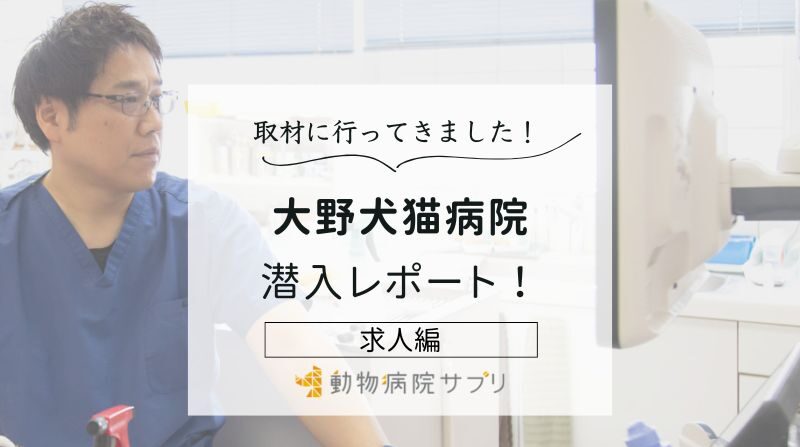 大野犬猫病院photo