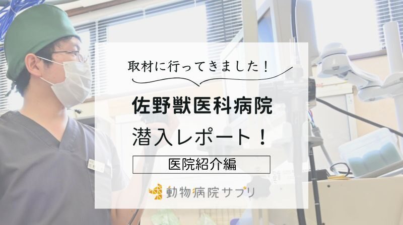 佐野獣医科病院photo