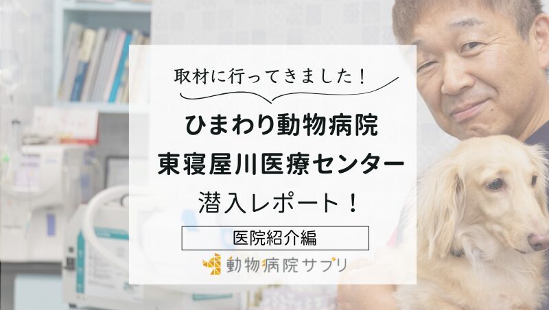 ひまわり動物病院 東寝屋川医療センターphoto