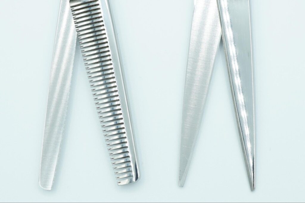 ミニチュアダックスフンドの人気スタイル