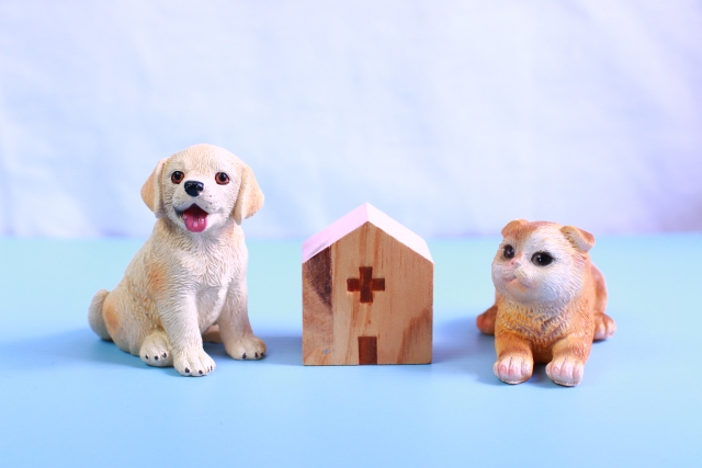 動物病院の待合室での過ごし方