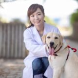 動物病院でしつけ相談はできる？メリットやポイント、動物病院開催のしつけ教室の特徴とは