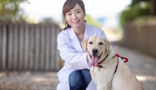 動物病院でしつけ相談はできる？メリットやポイント、動物病院開催のしつけ教室の特徴とは