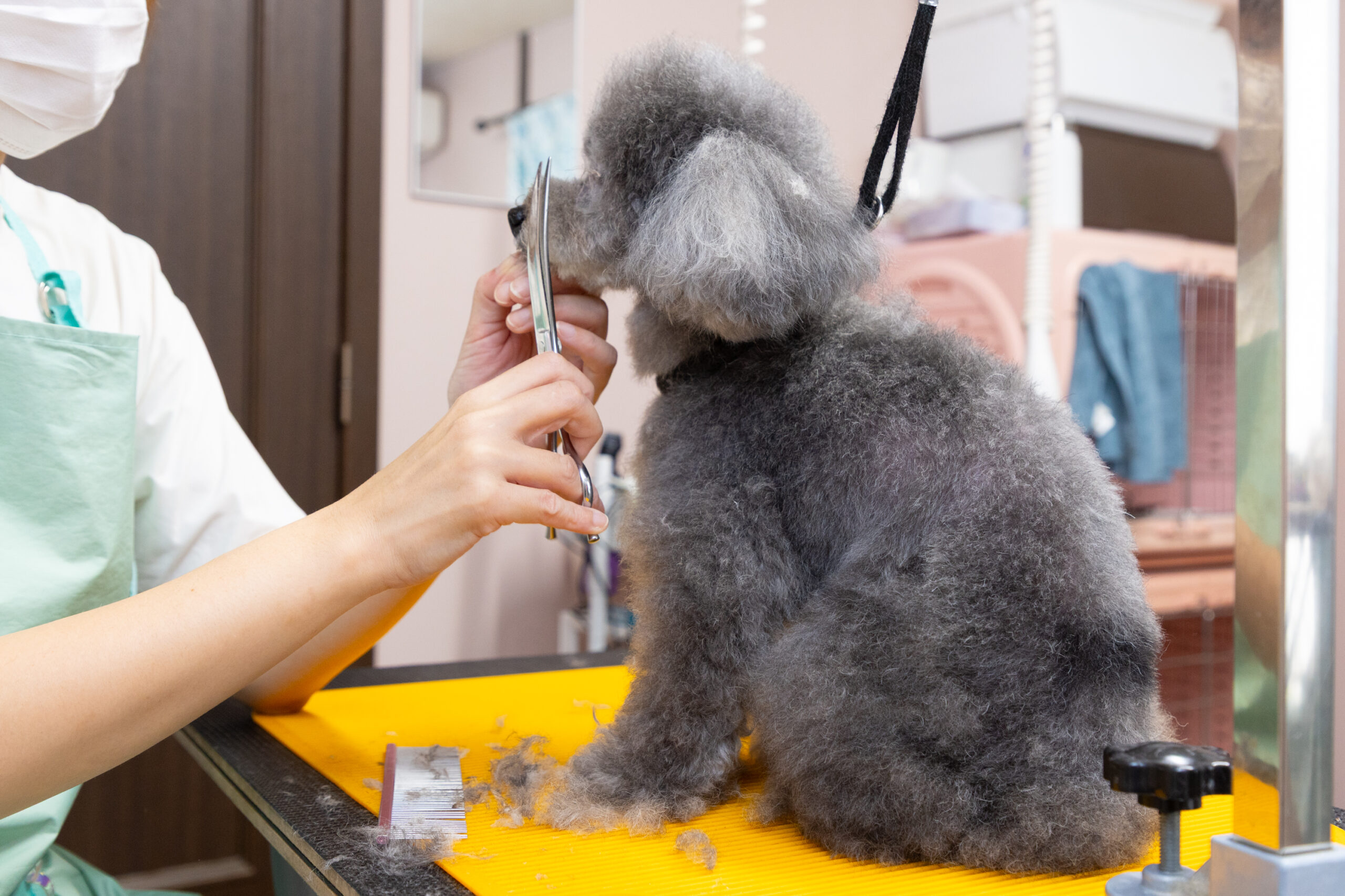 せじま動物病院photo
