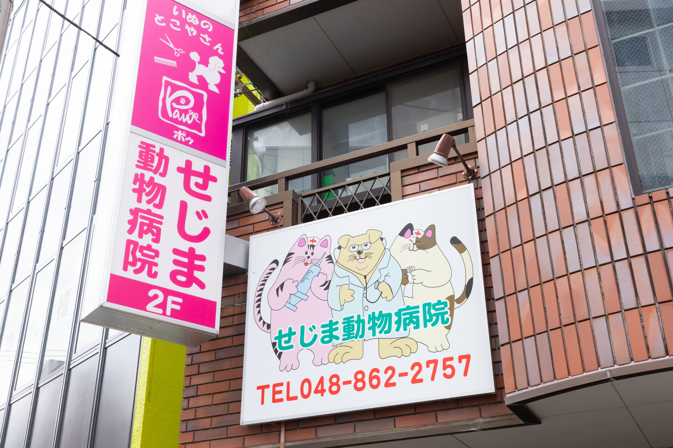 せじま動物病院photo