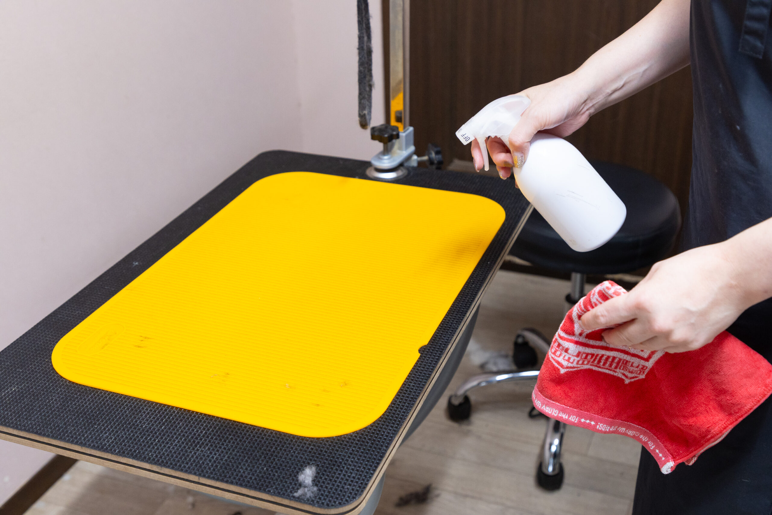 せじま動物病院photo