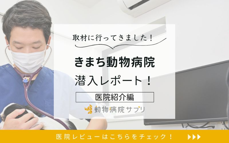 きまち動物病院