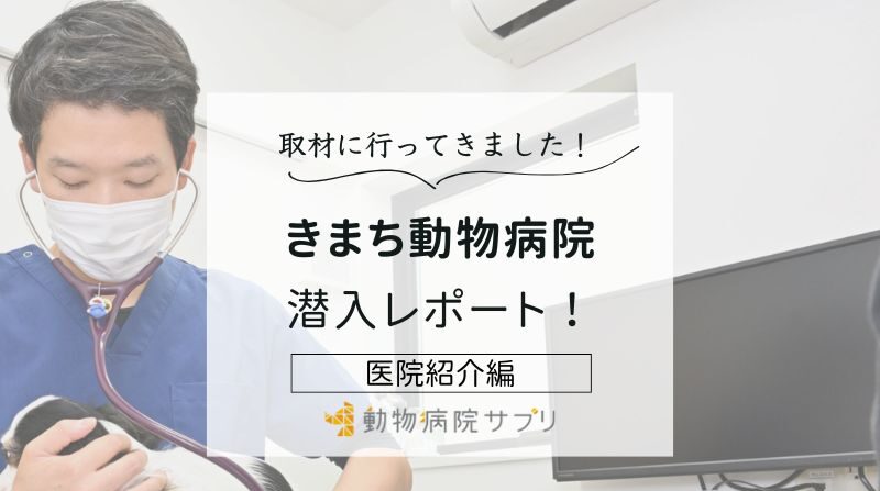 きまち動物病院photo