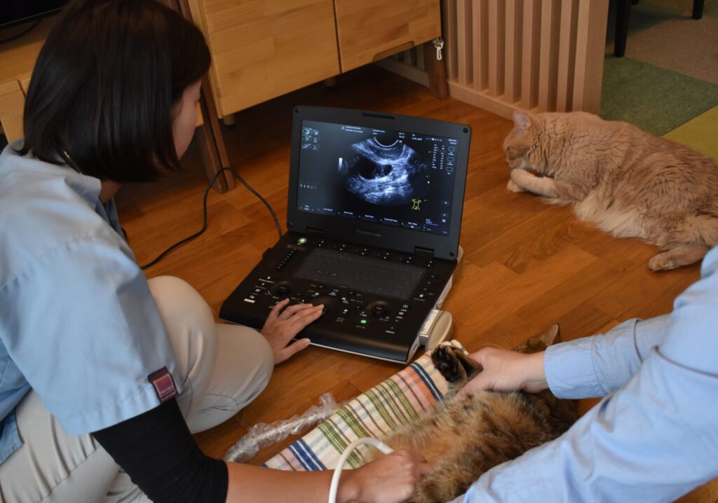にしきおりペットクリニック