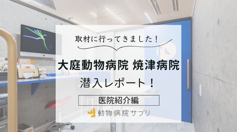 大庭動物病院 焼津病院photo
