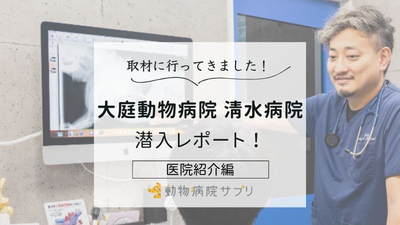 大庭動物病院 清水病院photo
