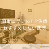 【2025年】関東エリアのFIP治療 おすすめしたい5医院