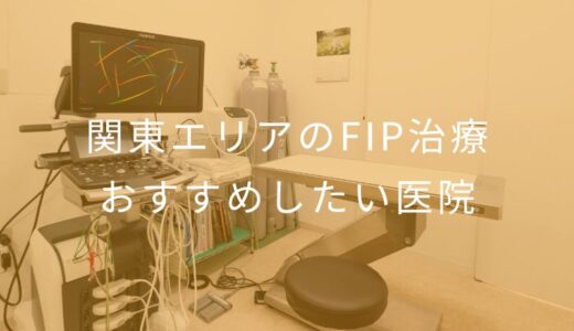 【2025年】関東エリアのFIP治療 おすすめしたい5医院