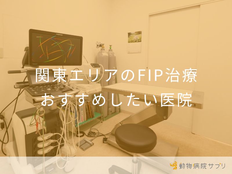 関東エリアのFIP治療 おすすめしたい医院