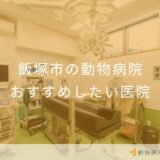 【2025年】飯塚市の動物病院 おすすめしたい5医院