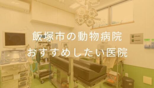 【2025年】飯塚市の動物病院 おすすめしたい5医院