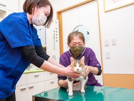 土師獣医科病院