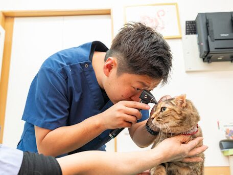 土師獣医科病院
