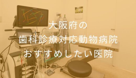 【2025年】大阪府の歯科診療対応動物病院 おすすめしたい5医院