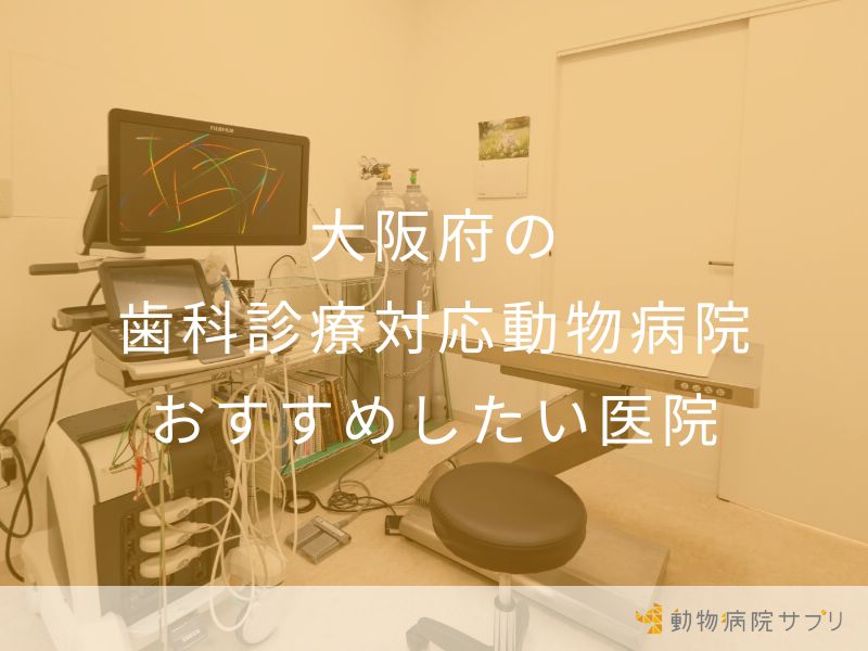 大阪府の 歯科診療対応動物病院 おすすめしたい医院