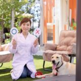 動物病院を転院するときのポイント｜セカンドオピニオンとの違いや必要な準備とは